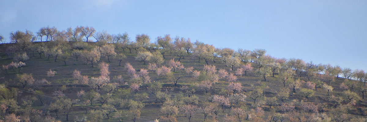 andalusien