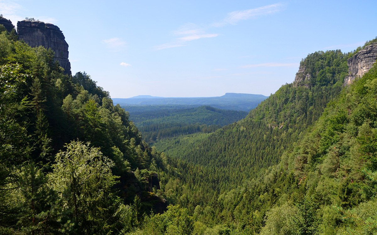 Böhmische