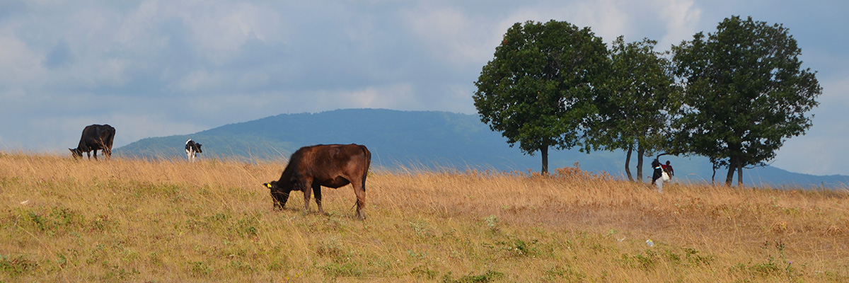 bulgarien