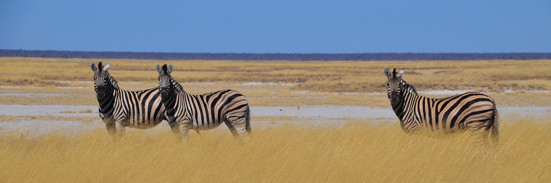 Namibia