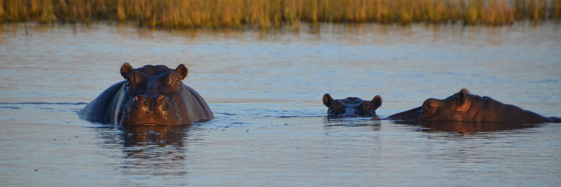 Namibia