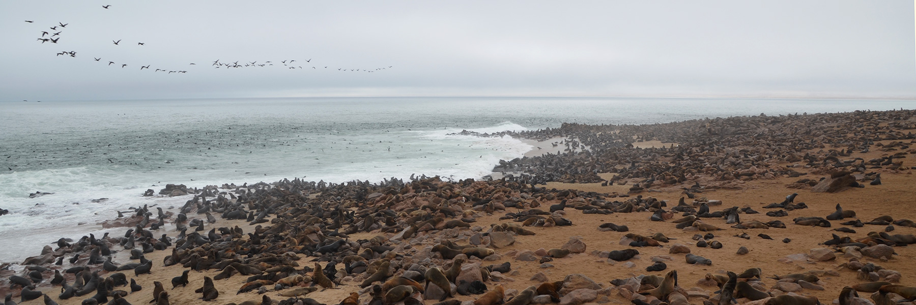 Namibia