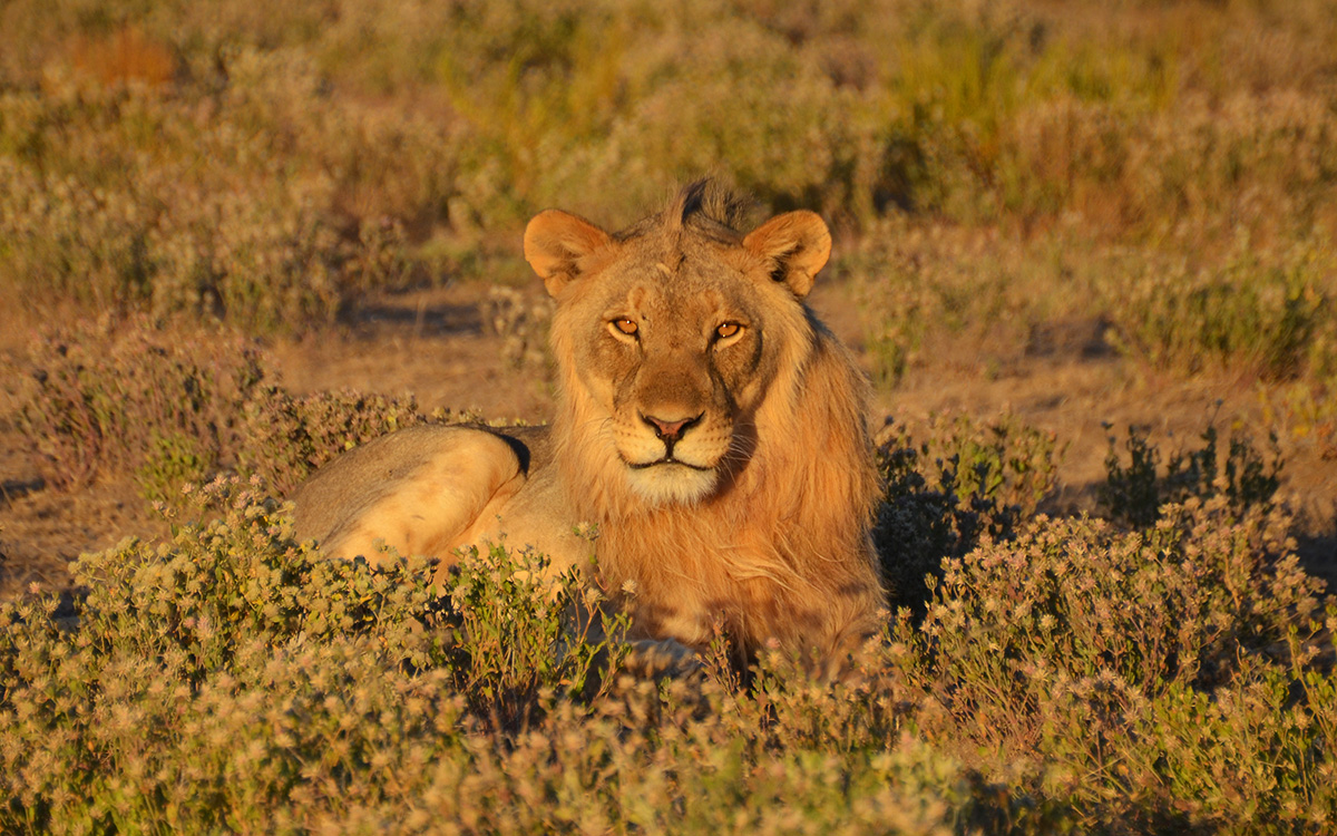 Namibia