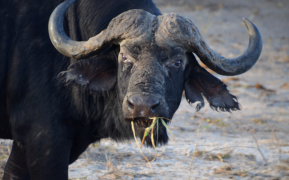 Namibia