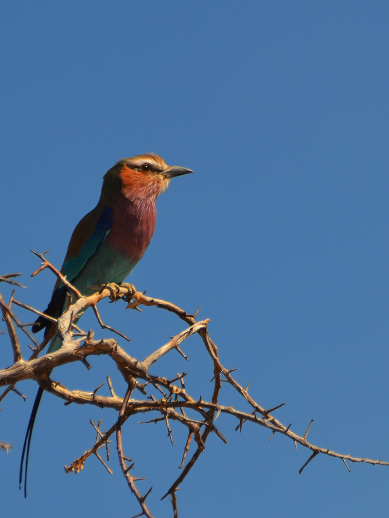 Namibia