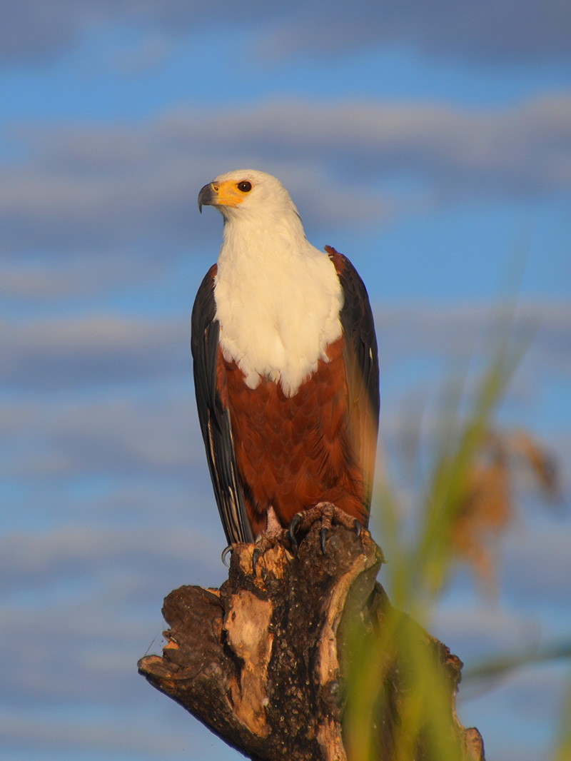 Namibia